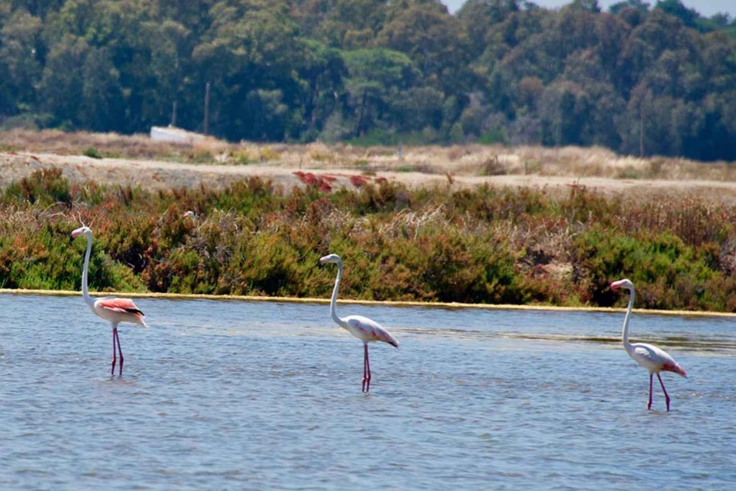 Ride the Day Away: Easy & Affordable E Motor Bike Rentals