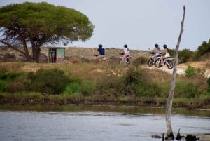 Ride the Day Away: Easy & Affordable E Motor Bike Rentals