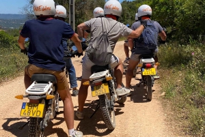 Ride the Day Away: Easy & Affordable E Motor Bike Rentals