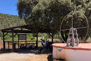 Rocha da Pena: Escursione Trail Running Algarve