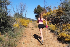 Rocha da Pena: Escursione Trail Running Algarve