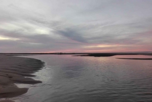 Excursion romantique au coucher du soleil dans la Ria Formosa depuis Faro