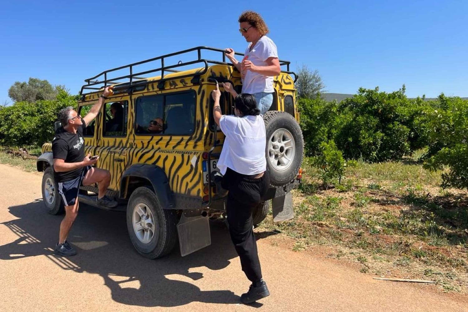 Safari & Boat Tour - Mountains & Dolphins