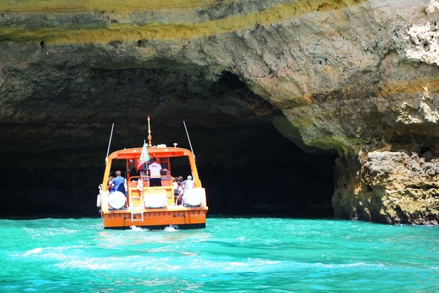 Safari & Boat Tour - Mountains & Dolphins