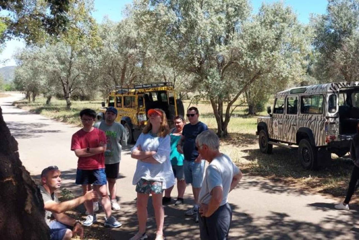 Safari & Boat Tour - Mountains & Dolphins