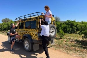 Safari & Bootstour - Berge & Delfine