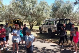 Safari & Bootstour - Berge & Delfine