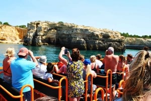 Safari & Boat Tour - Mountains & Dolphins