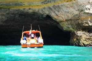 Safari & Boat Tour - Mountains & Dolphins