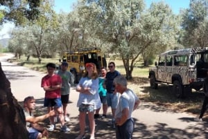 Safari & Boat Tour - Mountains & Dolphins