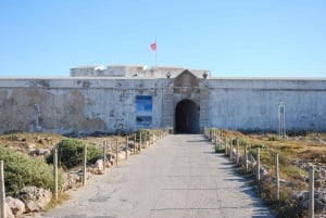 Sagres & Cape St. Vincent Half-Day Tour from Lagos