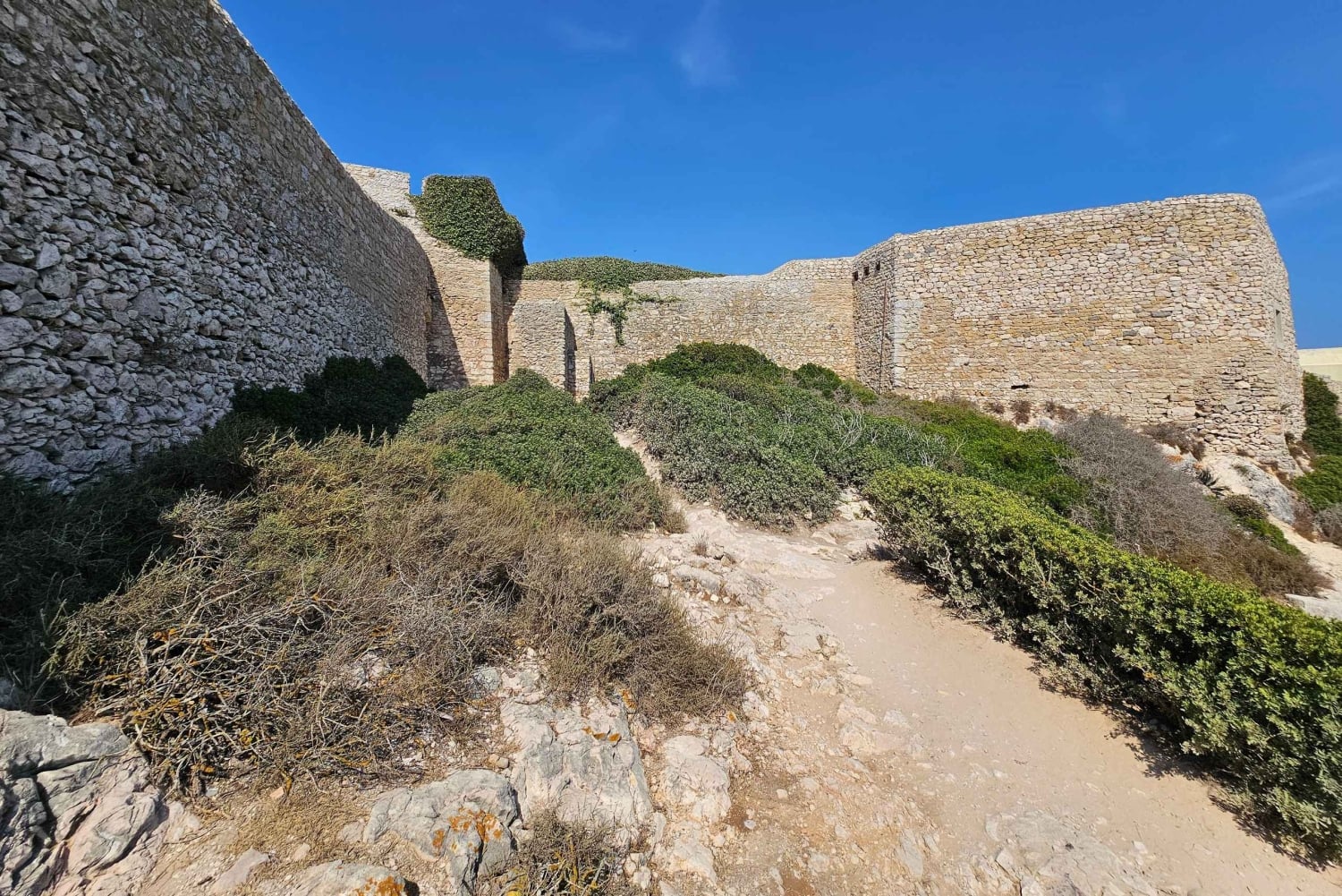 Visite de Sagres avec dégustation de vins et de desserts