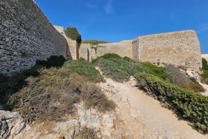 Visite de Sagres avec dégustation de vins et de desserts