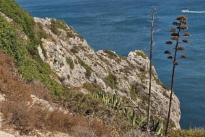 Visite de Sagres avec dégustation de vins et de desserts