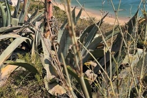 Visite de Sagres avec dégustation de vins et de desserts