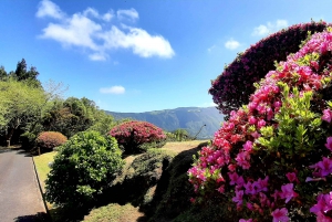 São Miguel: 2-Day Sightseeing Tour Including Lunches