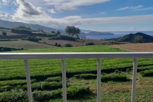 São Miguel: 2-Day Island Highlights Tour including Lunches