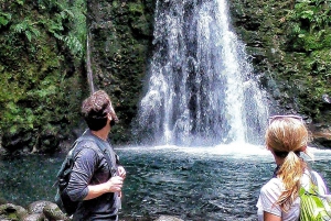 São Miguel Island: Guided Hiking Tour via Salto do Prego