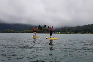 São Miguel: Lagoa das Sete Cidades Standup Paddleboard Yoga