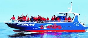 Seatrips Boat Tours