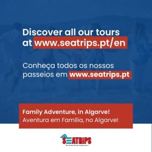 Seatrips Boat Tours