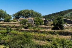 Serra de Monchique & Bravura Halvdagstur i terrenget