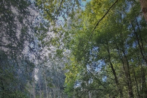 Serra de Monchique: giro in jeep con picnic incluso