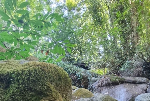 Serra de Monchique: giro in jeep con picnic incluso