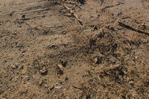 Serra de Monchique: giro in jeep con picnic incluso