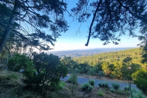 Serra de Monchique: giro in jeep con picnic incluso