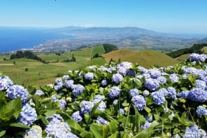 Sete Cidades - тур на полдня