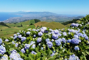 Sete Cidades - Half Day Tour