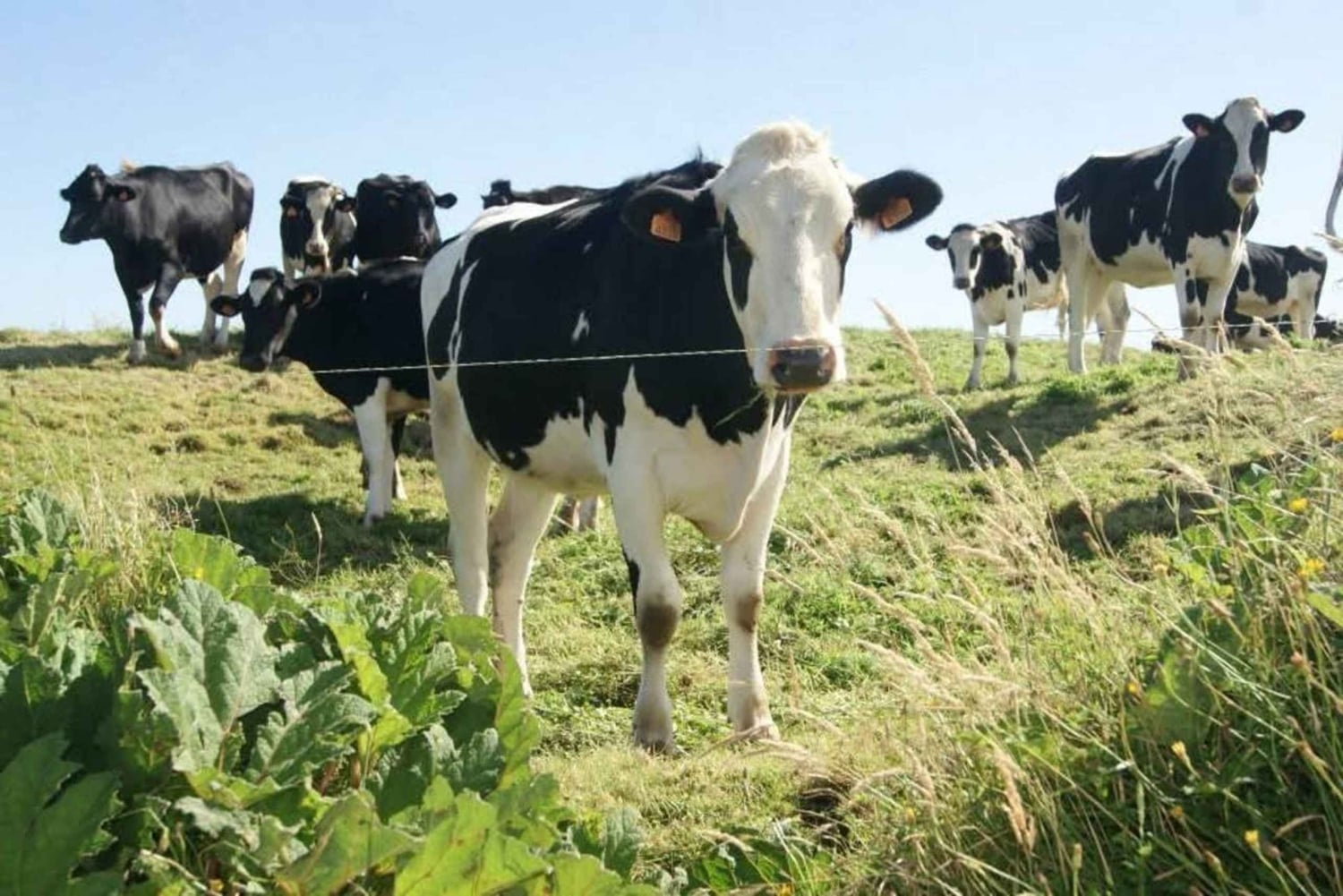 Sieben Städte und Feuersee Ganztägige Tour