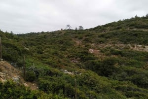 Sieben hängende Täler