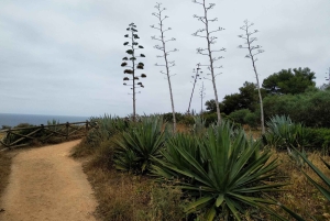 Sieben hängende Täler