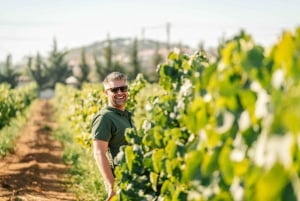 Silves: Algarve Vineyard Tour with Premium Wine Tasting