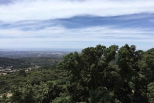 Silves och Monchique-bergen: Guidad busstur