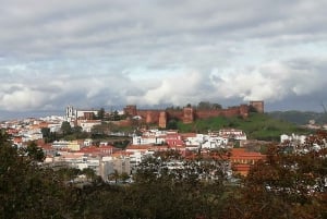Silves och Monchique-bergen: Guidad busstur