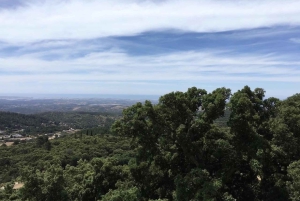 Silves et la montagne de Monchique : visite en bus guidée