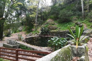 Silves et la montagne de Monchique : visite en bus guidée