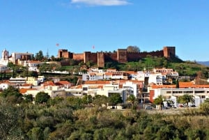 Tour 1 día con catas de vino en Silves, Caldas y Monchique