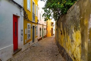 Tour 1 día con catas de vino en Silves, Caldas y Monchique