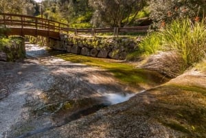 Tour 1 día con catas de vino en Silves, Caldas y Monchique