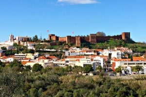 Dégustation de vins de Silves, Caldas et Monchique : visite d'une jounée