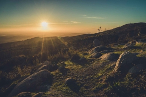 Dégustation de vins de Silves, Caldas et Monchique : visite d'une jounée