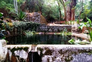 Dégustation de vins de Silves, Caldas et Monchique : visite d'une jounée