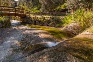 Dégustation de vins de Silves, Caldas et Monchique : visite d'une jounée