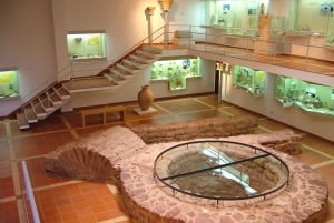 Dégustation de vins de Silves, Caldas et Monchique : visite d'une jounée