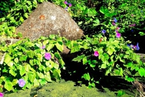 Dégustation de vins de Silves, Caldas et Monchique : visite d'une jounée