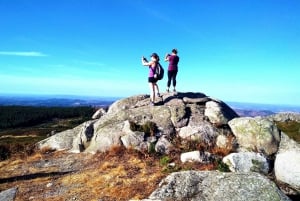 Dégustation de vins de Silves, Caldas et Monchique : visite d'une jounée